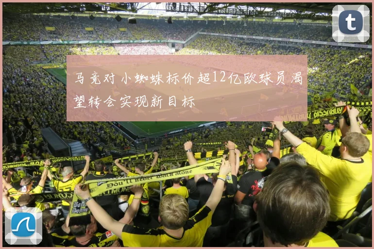 马竞对小蜘蛛标价超12亿欧球员渴望转会实现新目标