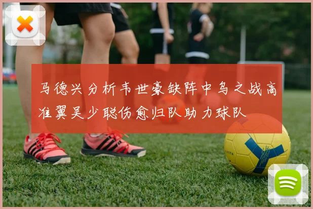 马德兴分析韦世豪缺阵中乌之战高准翼吴少聪伤愈归队助力球队